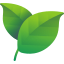 leaf (1)