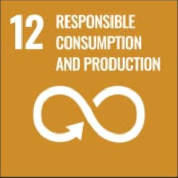 SDG 12: Responsible consumption and production
